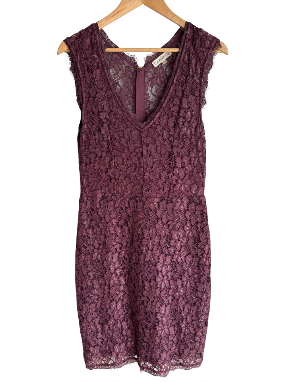 Temperance Romantic Lace Overlay Cocktail Dress Sz M Mulberry Party Sexy Classy